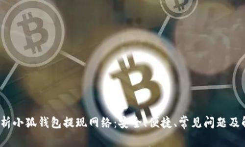 全面解析小狐钱包提现网络:安全、便捷、常见问题及解决方案