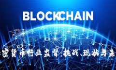 揭秘加密货币行业监督:挑战、现状与未来走向