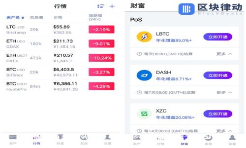 加密货币发行的全景解析:从技术框架到市场影响