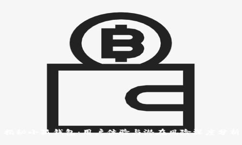 揭秘小狐钱包:用户体验与潜在风险深度分析