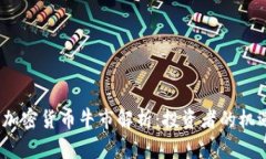 2020年加密货币牛市解析：投资者的机遇与挑战
