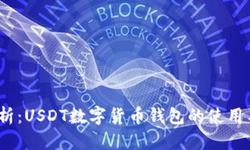 全面解析:USDT数字货币钱包的使用与安全性