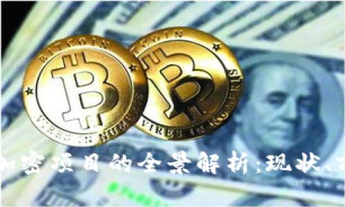中国货币加密项目的全景解析:现状、前景与挑战