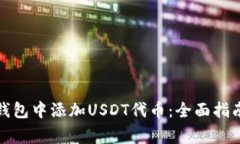 如何在狐狸钱包中添加USDT代币:全面指南与注意