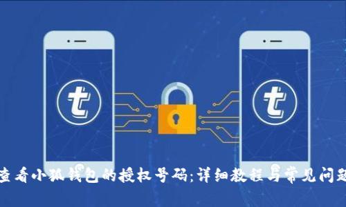如何查看小狐钱包的授权号码:详细教程与常见问题解答