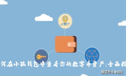 如何在小狐钱包中查看你的数字币资产:全面指南