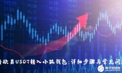 如何将欧易USDT转入小狐钱包:详细步骤与常见问