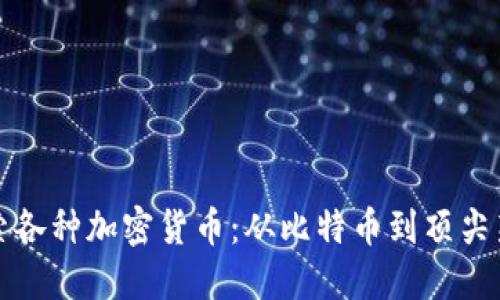 深入探索各种加密货币:从比特币到顶尖新兴币种