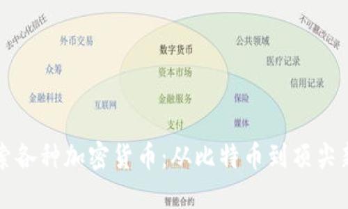 深入探索各种加密货币:从比特币到顶尖新兴币种