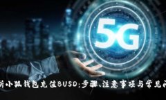 全面解析小狐钱包充值BUSD:步骤、注意事项与常