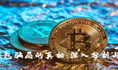 : 揭开小狐钱包骗局的真相:深入分析与投资风