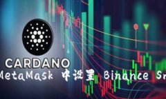 完整指南:如何在 MetaMask 中设置 Binance Smart Cha
