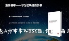 如何在小狐钱包App中导入BSC链:详细指南与常见
