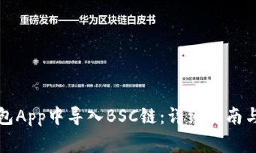 如何在小狐钱包App中导入BSC链:详细指南与常见问题解答