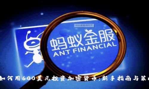 如何用600美元投资加密货币:新手指南与策略