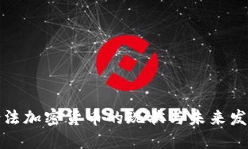 全球合法加密货币的现状与未来发展趋势
