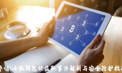 警惕!小狐钱包被盗取事件解析与安全防护指南