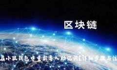 : 如何在小狐钱包中重新导入助记词？详细步骤与
