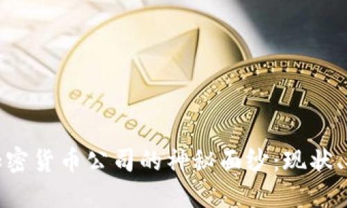 揭开国内加密货币公司的神秘面纱:现状、挑战与机遇