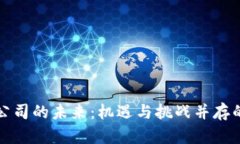 加密货币公司的未来：机遇与挑战并存的全景分