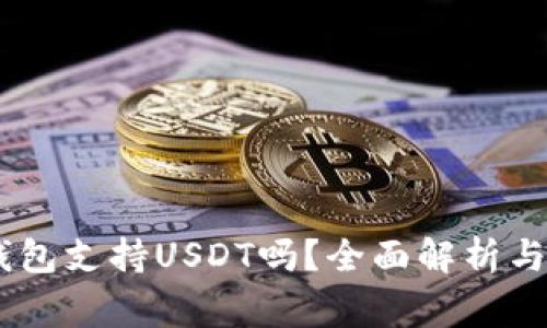 Ledger钱包支持USDT吗?全面解析与使用指南