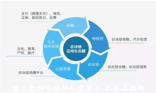 波兰金融市场的加密货币:机遇与挑战