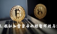昙花一现:揭秘加密货币的短暂辉煌与深刻教训