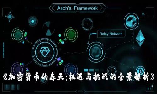 《加密货币的春天：机遇与挑战的全景解析》