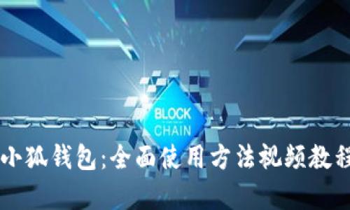 掌握小狐钱包:全面使用方法视频教程解析