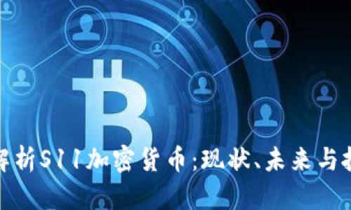 全方位解析S11加密货币：现状、未来与投资策略