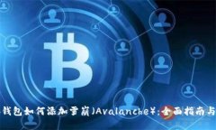 小狐钱包如何添加雪崩（Avalanche）：全面指南与