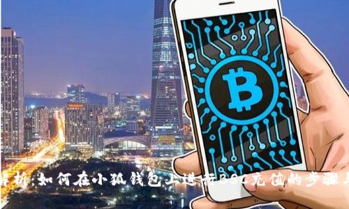 《全面解析：如何在小狐钱包上进行BSC充值的步骤与技巧》