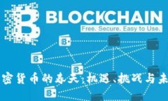 中国加密货币的春天:机遇、挑战与未来发展