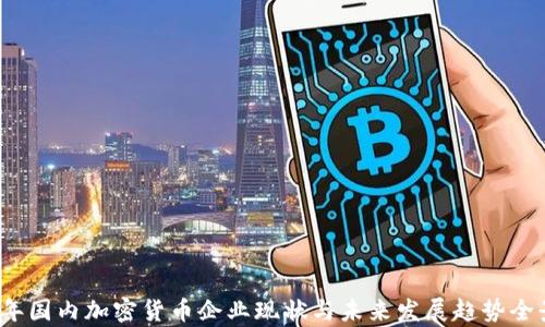 
2023年国内加密货币企业现状与未来发展趋势全景分析