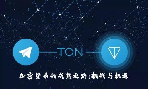 加密货币的成熟之路:挑战与机遇