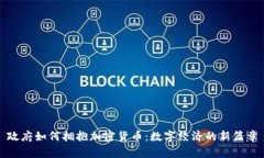 政府如何拥抱加密货币：数字经济的新篇章