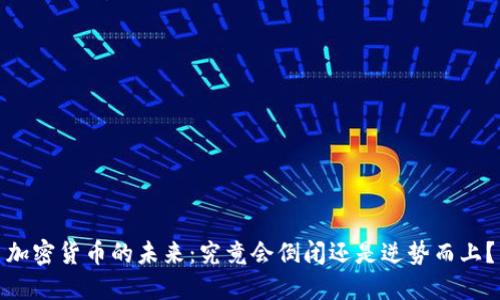加密货币的未来：究竟会倒闭还是逆势而上？
