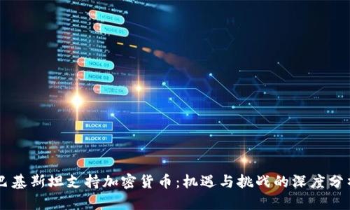 巴基斯坦支持加密货币：机遇与挑战的深度分析