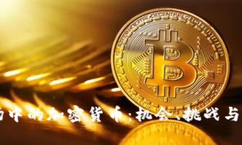 印度市场中的加密货币：机会、挑战与未来发展
