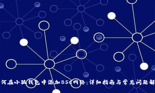 如何在小狐钱包中添加BSC网络：详细指南与常见问题解答