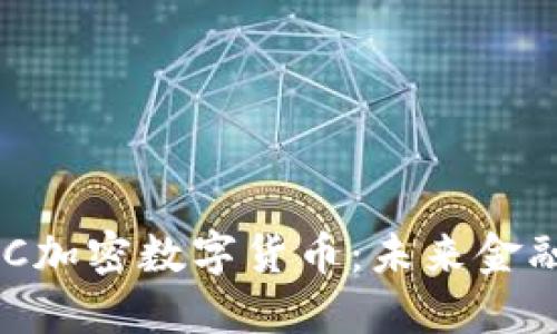 深入探索EDC加密数字货币:未来金融的变革力量