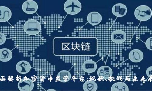 全面解析加密货币监管平台：现状、挑战与未来展望