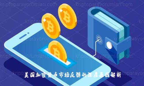 美国加密货币市场反弹的深层原因解析