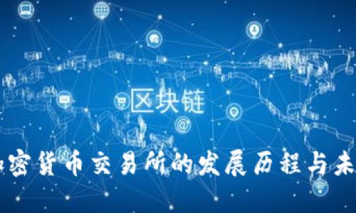 印度加密货币交易所的发展历程与未来展望
