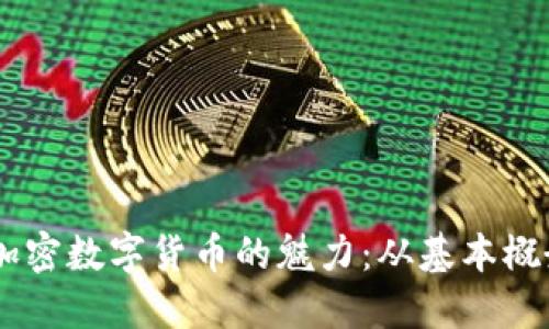 了解CANDY加密数字货币的魅力:从基本概念到投资潜力