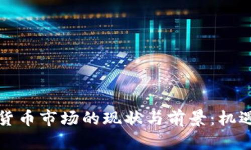 土耳其加密货币市场的现状与前景:机遇与挑战并存