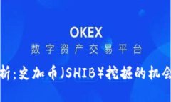 全面解析：史加币（SHIB）挖掘的机会与挑战