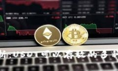 : 全面解析：USDT可以存放的多种钱包选择