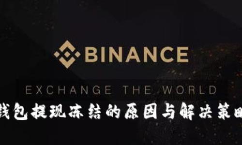 小狐钱包提现冻结的原因与解决策略详解