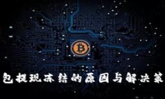 小狐钱包提现冻结的原因与解决策略详解